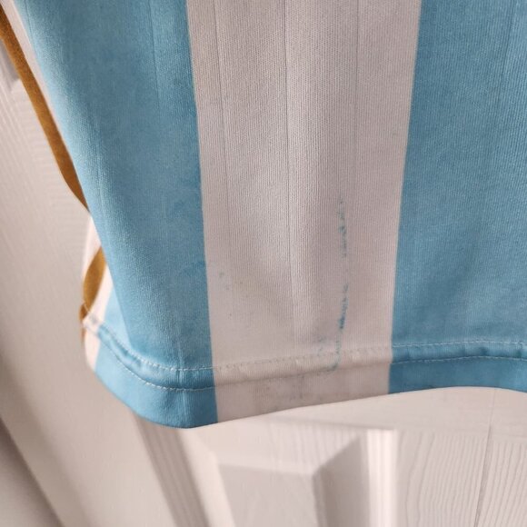 Argentina Blue/White Short Sleeve Soccer Jersey - Picture 8 of 12
